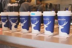 瑞幸咖啡加盟：开创创业致富新纪元