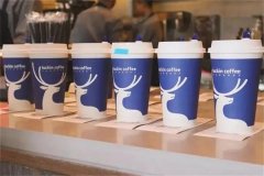 瑞幸咖啡店加盟需要多少钱？准备40万就能轻松开店